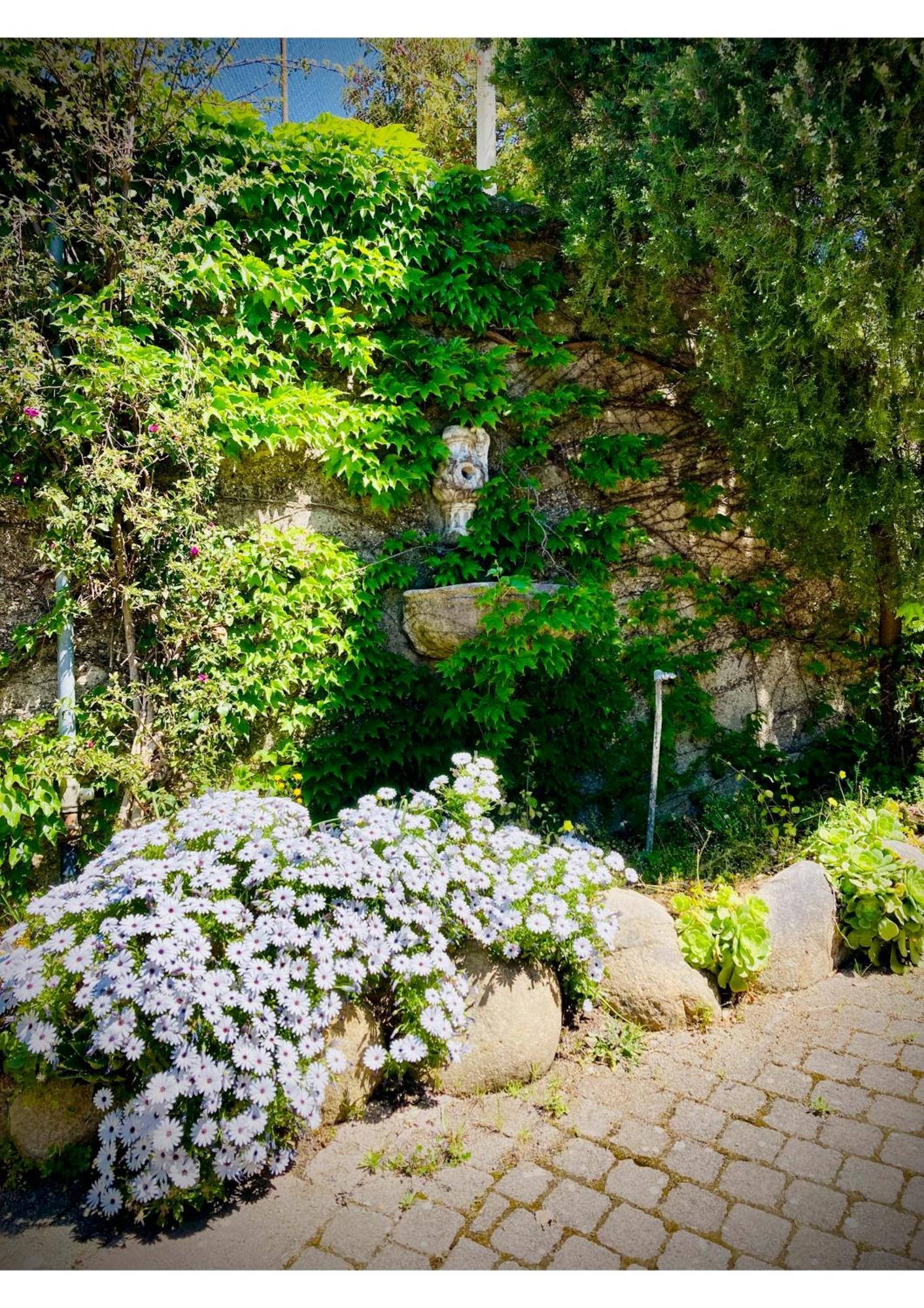 Guest house Scilla E Cariddi