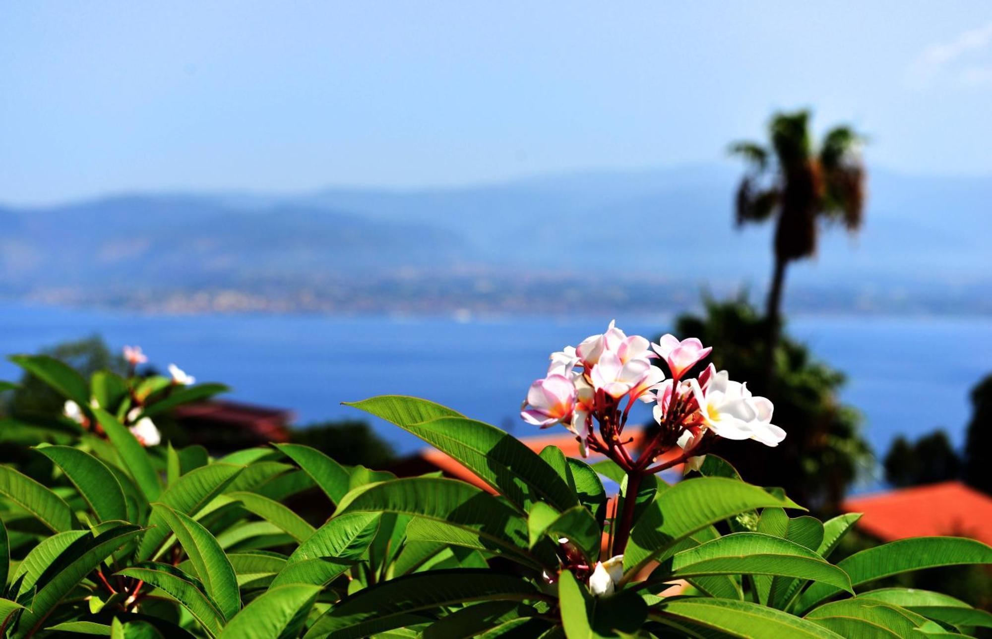 Scilla E Cariddi Guest house 3*