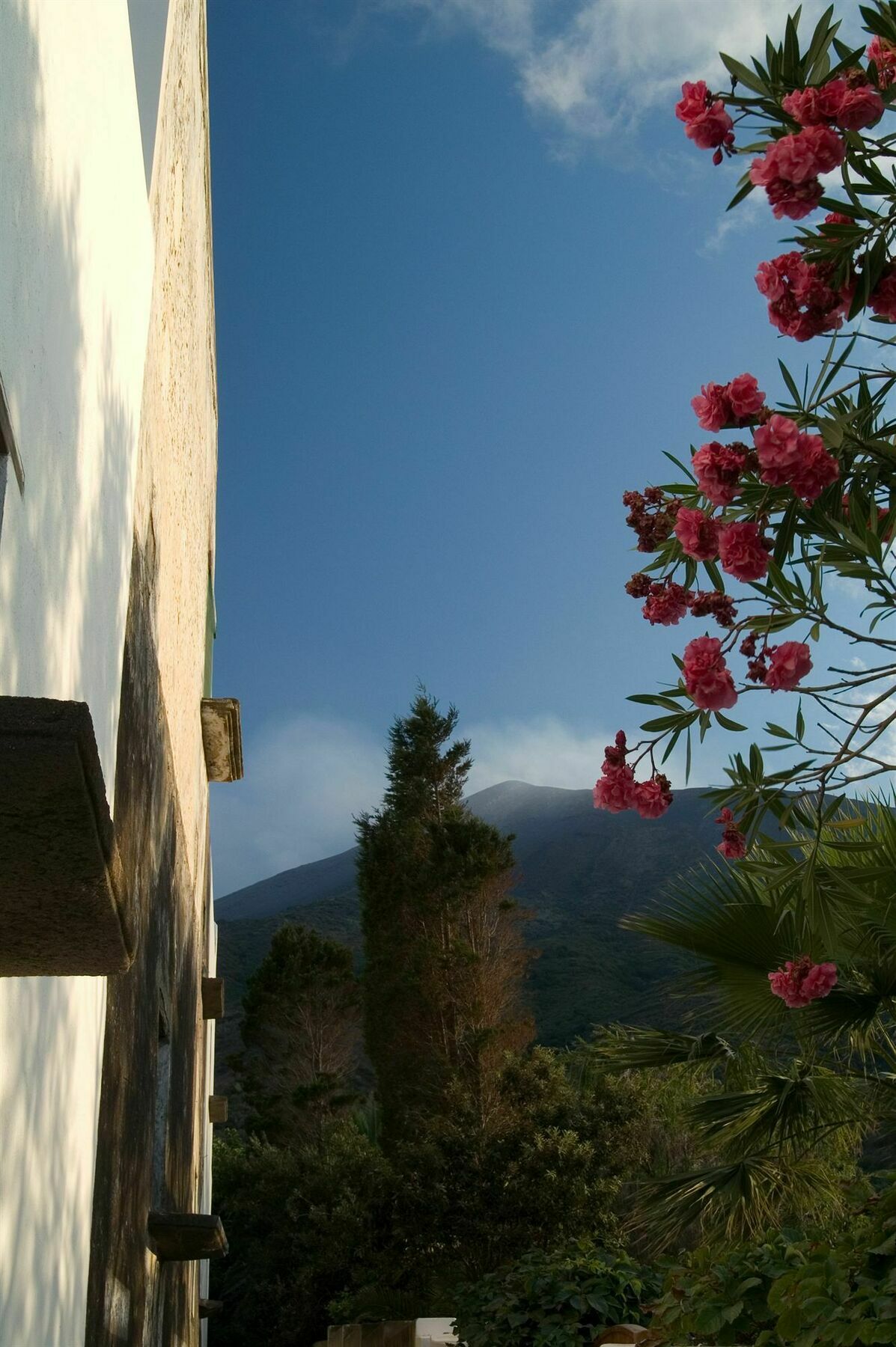 Scilla E Cariddi 3*